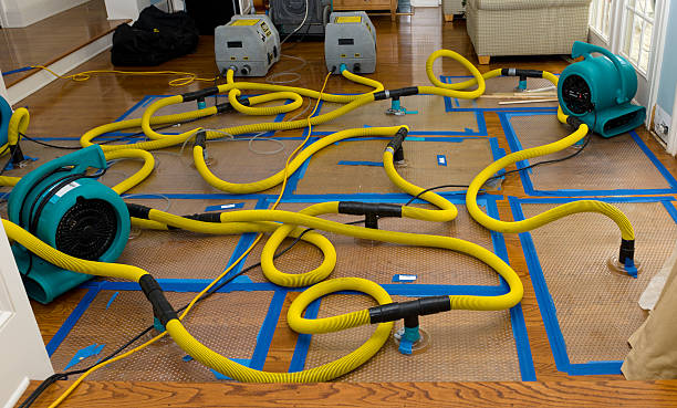Professional Flood Damage Restoration technician working in Pierce, NE